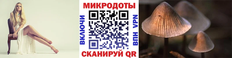 что такое   Дмитров  Псилоцибиновые грибы Cubensis 